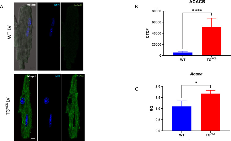 Figure 12—figure supplement 3.