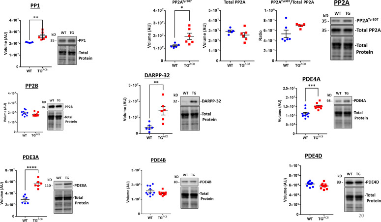 Figure 13—figure supplement 1.