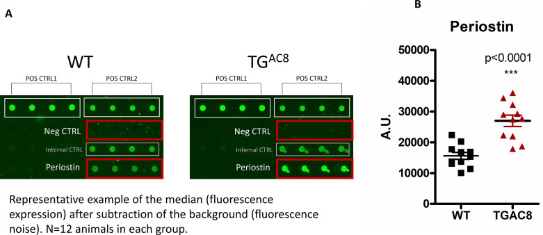 Figure 13—figure supplement 8.