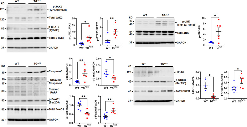 Figure 13—figure supplement 2.