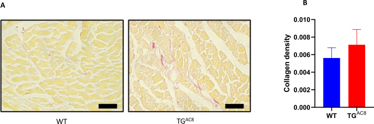 Figure 2—figure supplement 1.