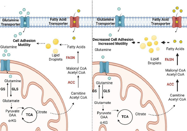 Image, graphical abstract