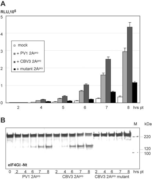 FIG. 6.