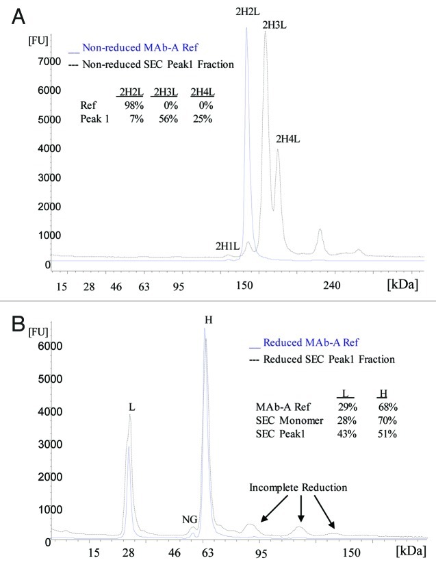 graphic file with name mabs-5-102-g5.jpg