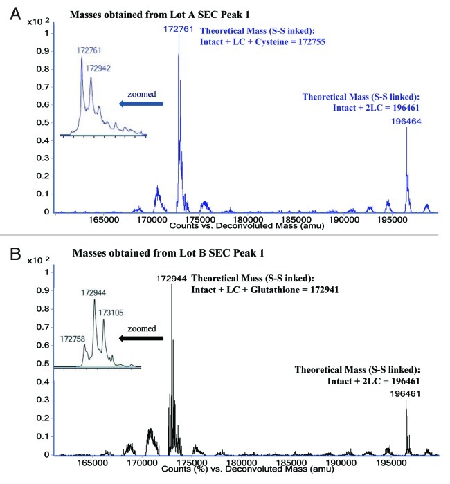 graphic file with name mabs-5-102-g4.jpg