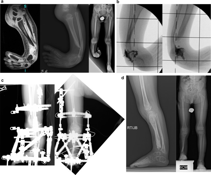 Fig. 7