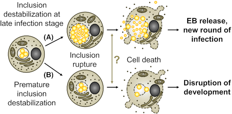 Figure 7.