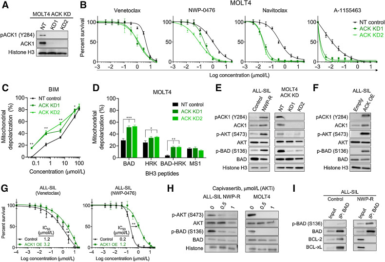 Dual Targeting of Apoptotic and Signaling Pathways in T-Lineage Acute ...