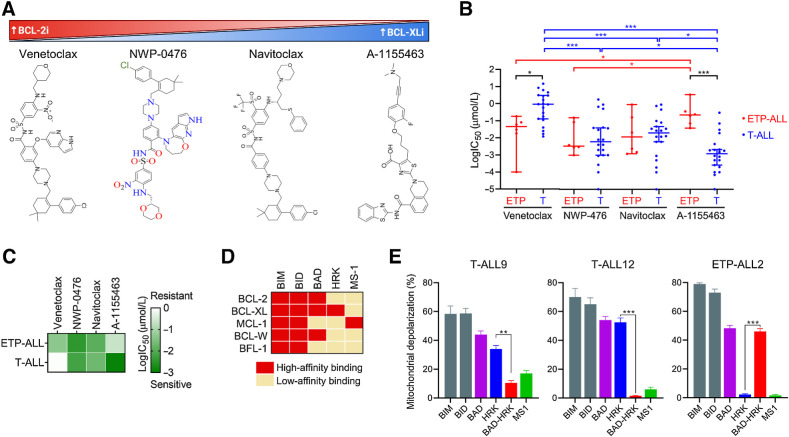 Figure 1. BH3 profiling predicts response to BH3 mimetics in T-lineage ALL. A, Chemical structures for BH3 mimetics with differential binding to BCL-2 and BCL-xL antiapoptotic proteins. B, Whisker plots showing log(IC50) values for ETP and typical T-ALL primary patient cells treated with BH3 mimetics. C, Heatmap depicting sensitivities of ETP- and T-ALL patient samples to different BH3 mimetics. D, Heatmap showing the specificities of BH3 peptides for different BCL-2 family of proteins. E, BH3 profiling of primary cells from ETP- and T-ALL patients (*, P < 0.05; **, P < 0.01; ***, P < 0.001).