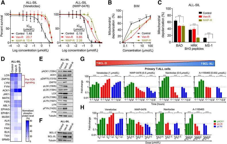 Figure 2. LCK and ACK1 signaling pathways are associated with resistance to BH3 mimetics in T-ALL. A, Generation of isogenic control, ven-r, and NWP-R ALL-SIL T-ALL cell lines. B, BIM titrating assay showing apoptotic priming for ALL-SIL control, ven-R, and NWP-R cells. C, BH3 profiling of isogenic control and BH3 mimetic-resistant cell lines. D, Heatmap depicting the most differentially expressed phospho-kinases between ALL-SIL control, ven-R, and NWP-R cells. E, Immunoblots validate the phospho-kinase array results. F, Immunoblots showing the expression of BCL-2 and BCL-xL levels in ALL-SIL ven-R and NWP-R cells as compared with parental controls. G, Bar graphs showing changes in phospho-kinase levels over 48 hours after BH3 mimetic treatment of primary T-ALL cells. Changes were normalized to the levels of proteins on day 0. H, Bar graphs showing changes in phospho-kinase levels after 24 hours of treatment with increasing doses of BH3 mimetics in primary T-ALL cells. Changes were normalized to untreated cells (*, P < 0.05; **, P < 0.01; ***, P < 0.001).