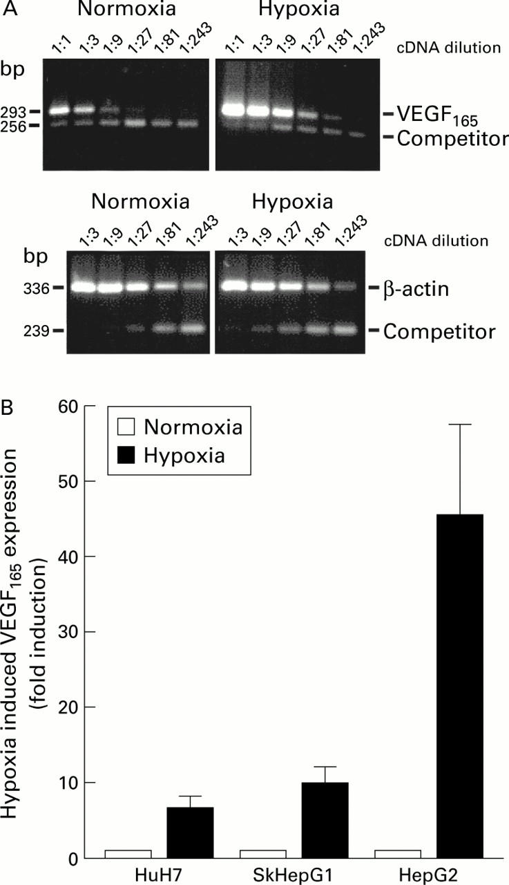 Figure 5  