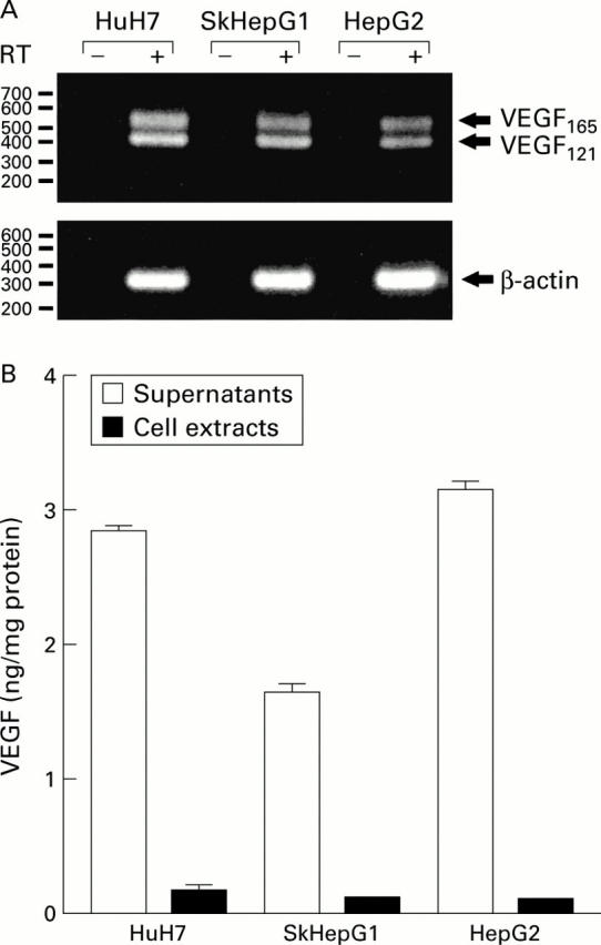 Figure 3  