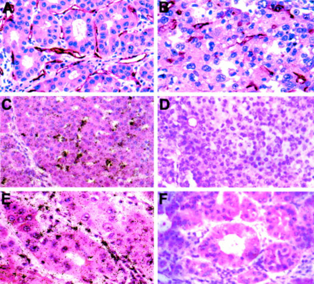 Figure 2  