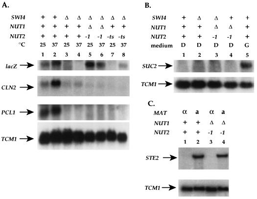 FIG. 6