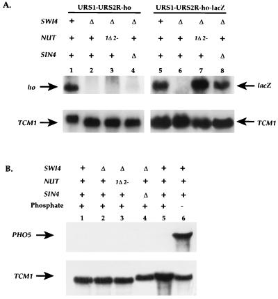 FIG. 7