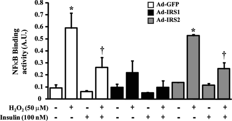 FIGURE 9.