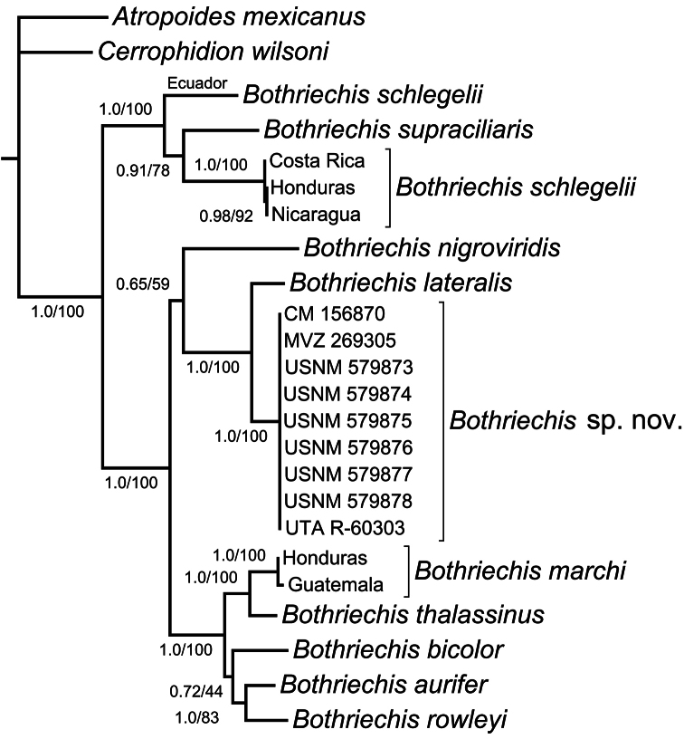 Figure 1.