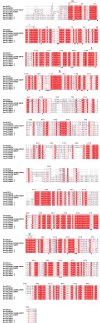 Figure 4—figure supplement 2.