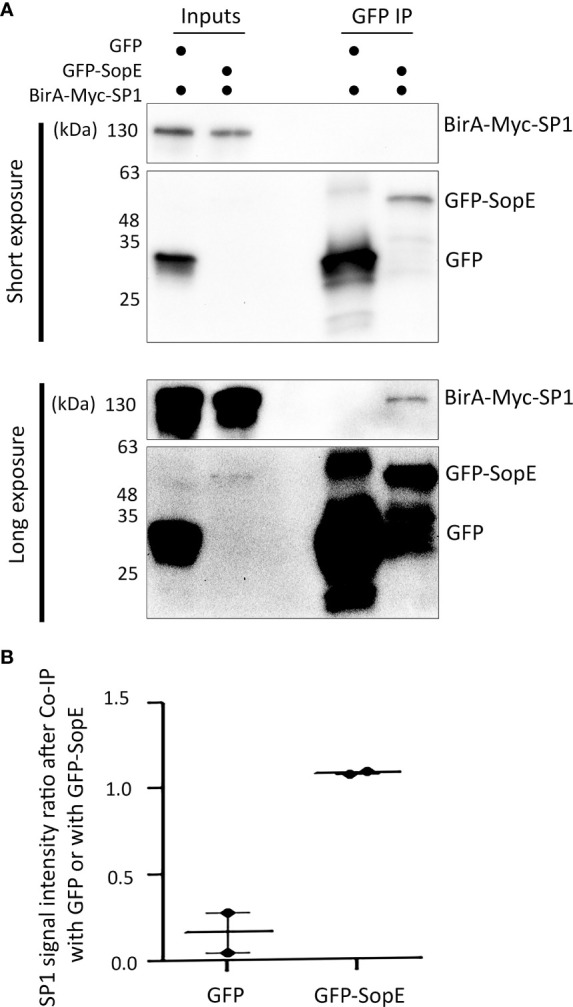 Figure 2