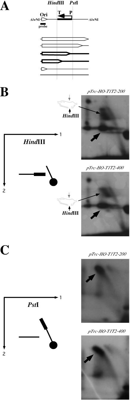 FIG. 6.