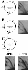 FIG. 4.