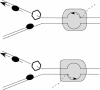FIG. 1.