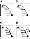 FIG. 2.