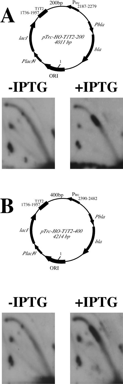 FIG. 5.