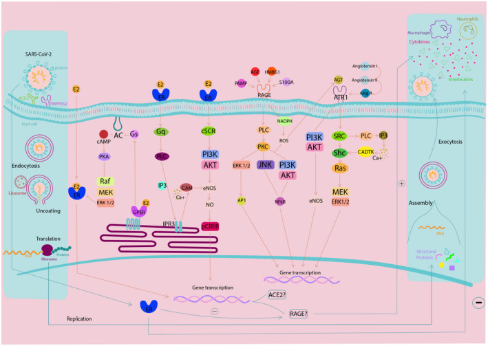 FIGURE 4