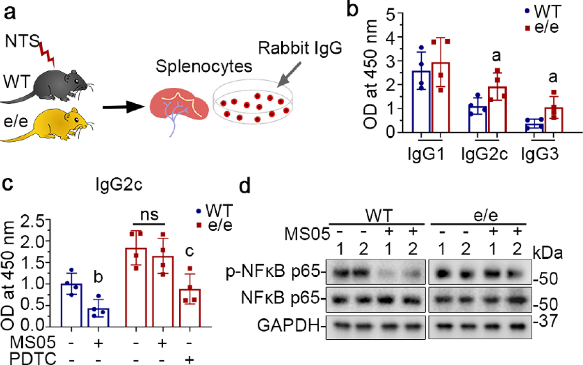 Figure 11.