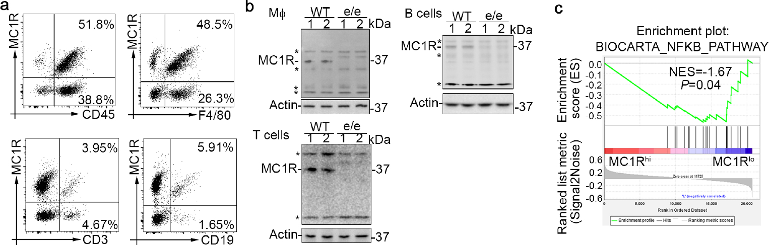 Figure 10.