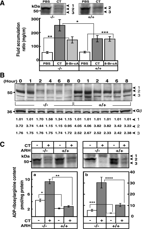 FIG. 5.