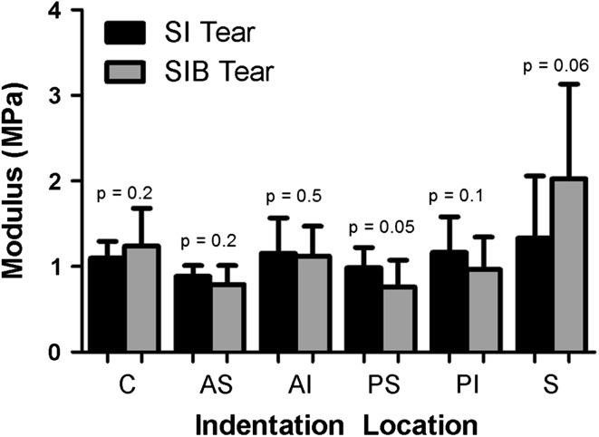 Fig. 6