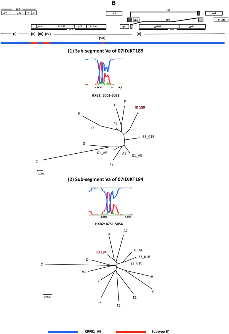 FIG. 2.