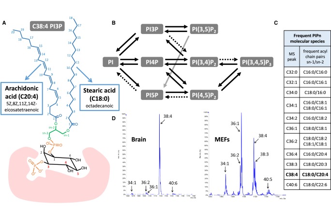 Figure 1.