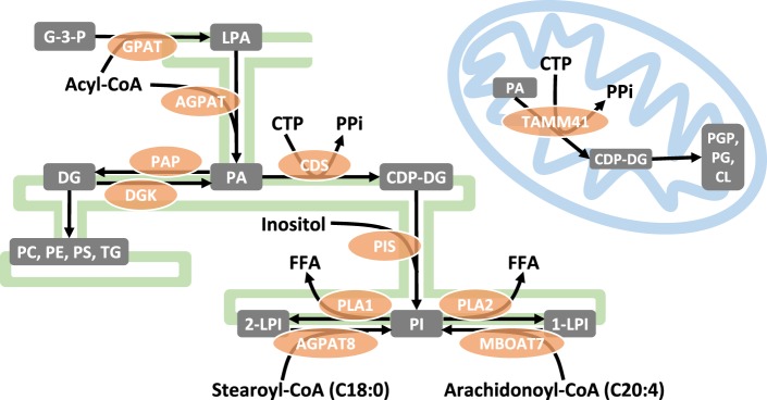 Figure 2.