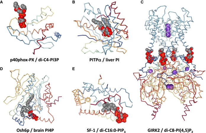 Figure 4.