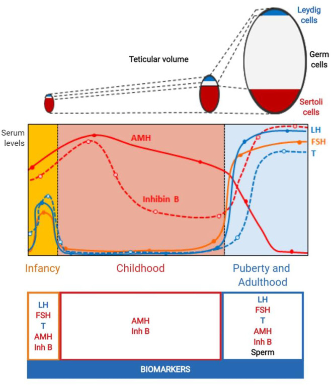 Figure 2: