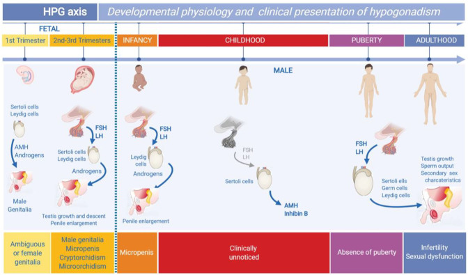 Figure 1: