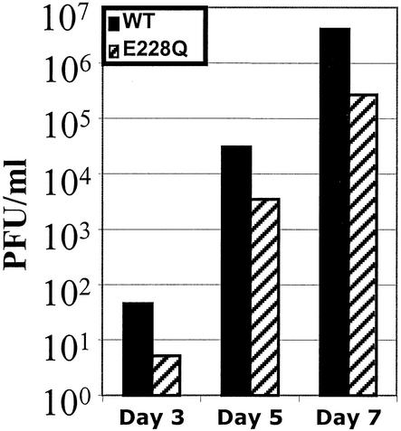 FIG. 8.