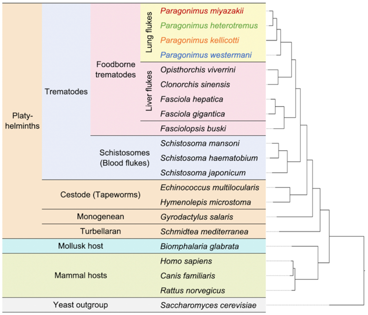 Figure 4: