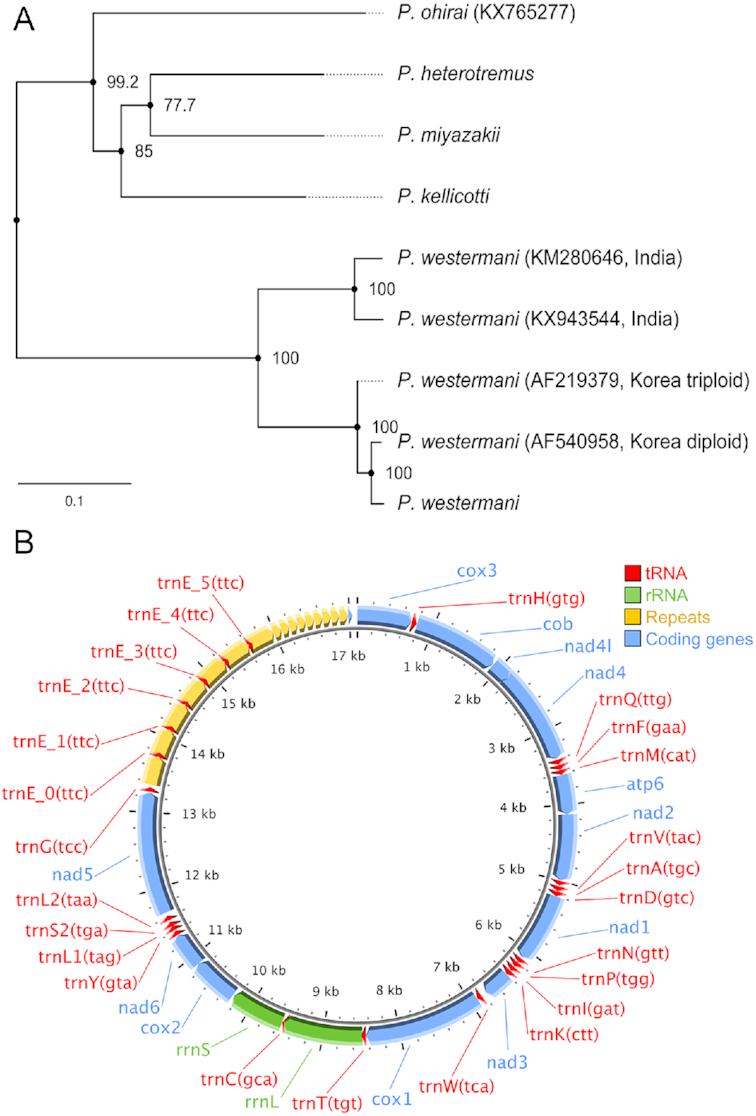 Figure 3.