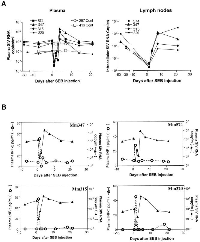 FIG. 6