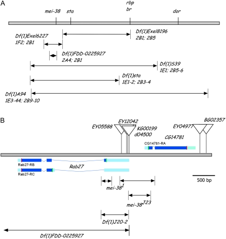 Figure 3.—