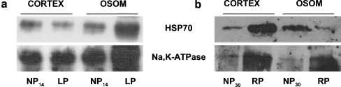 Fig. 9