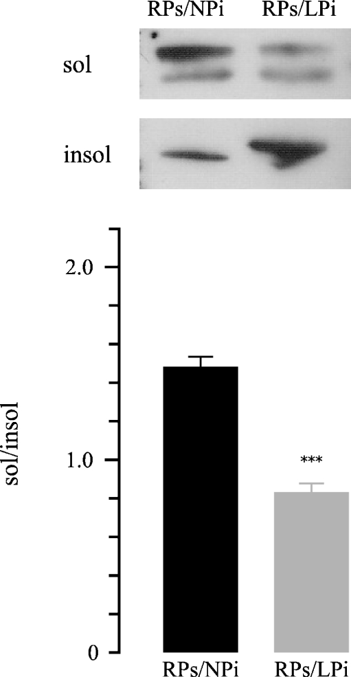 Fig. 7