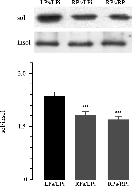 Fig. 6