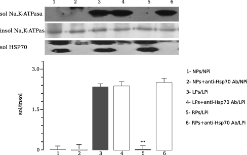 Fig. 8