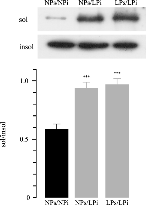 Fig. 5