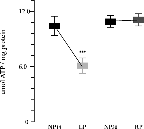 Fig. 10